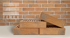Кирпич TEREX Коралл Торкрет